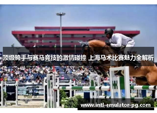 顶级骑手与赛马竞技的激情碰撞 上海马术比赛魅力全解析