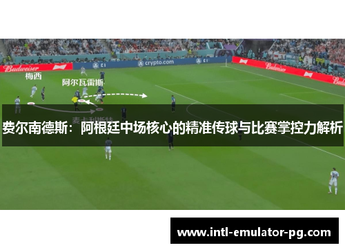 费尔南德斯：阿根廷中场核心的精准传球与比赛掌控力解析